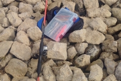 IMG_20190902_092430_edit_edit